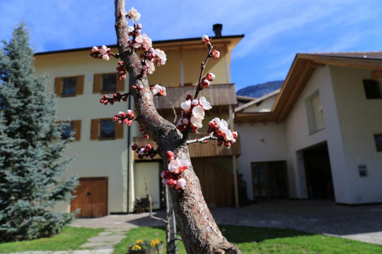 Ferienhof Weingenuss Apartment Cortina Sulla Strada del Vino Exterior photo